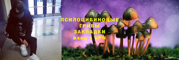 прущая мука Богданович