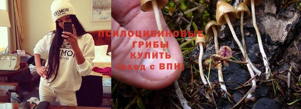Альфа ПВП Богородицк