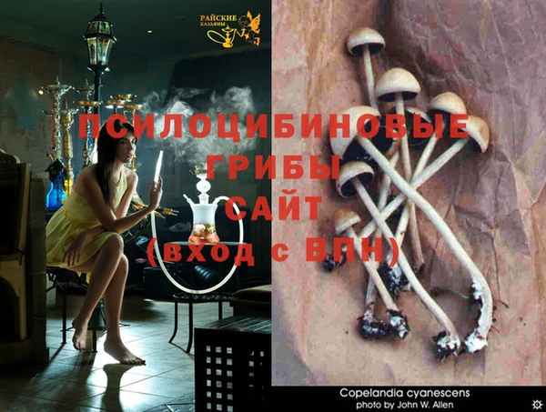 эйфоретик Богородск