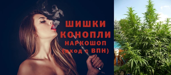 прущая мука Богданович