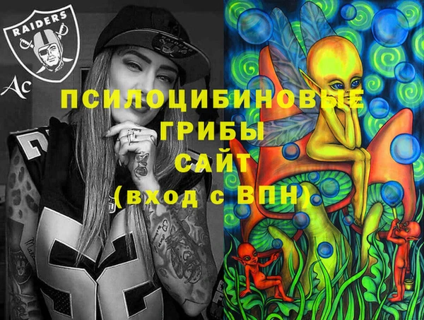 эйфоретик Богородск