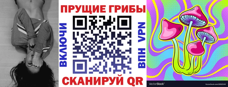Галлюциногенные грибы Psilocybine cubensis  наркошоп  OMG вход  Вихоревка 